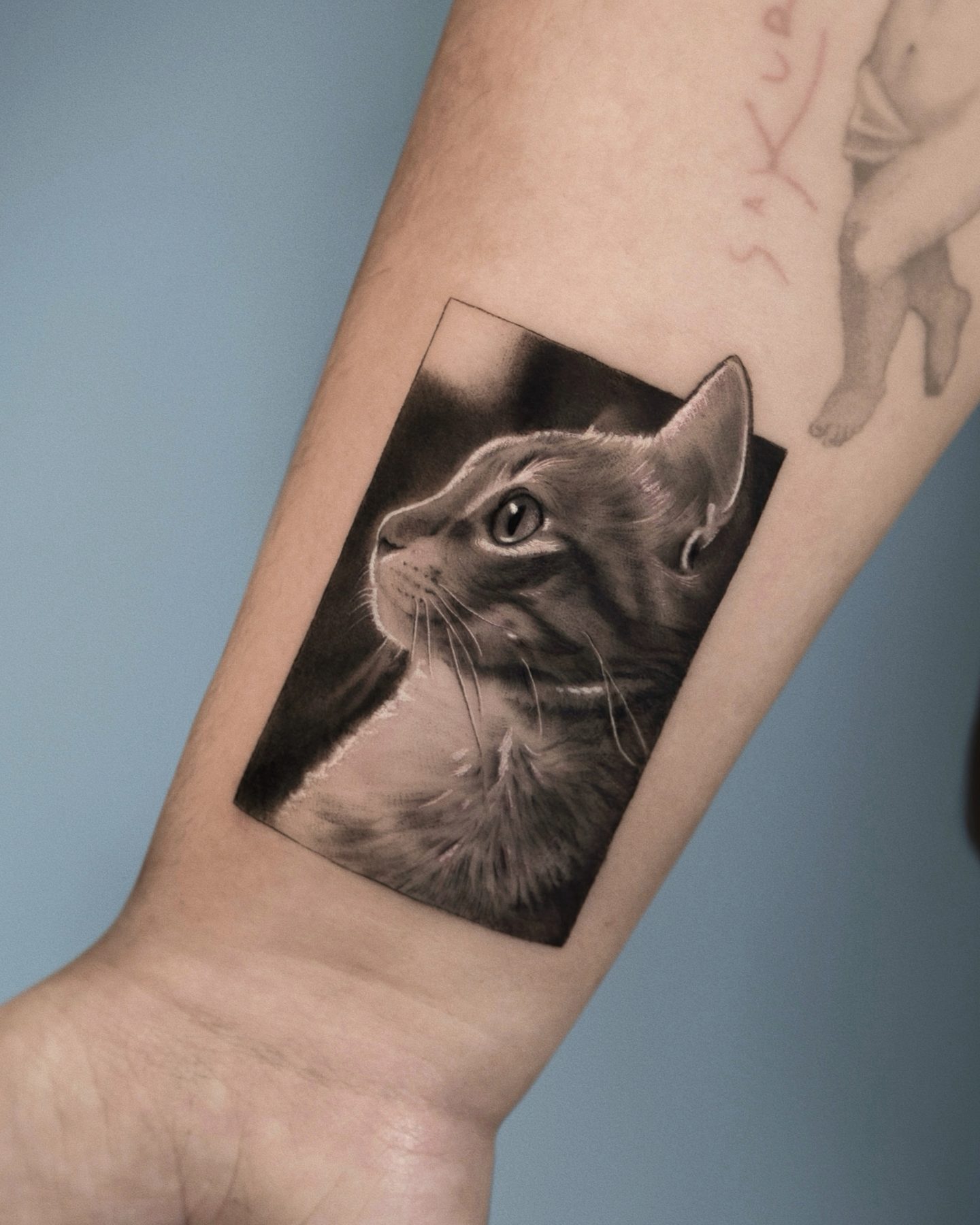 Retrato microrealista de gato